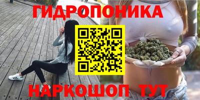 стафф Среднеуральск