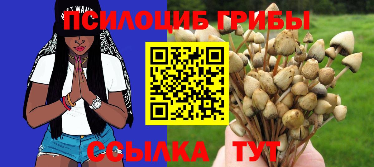 Якутск  Галлюциногенные грибы MAGIC MUSHROOMS  Вход с VPN 