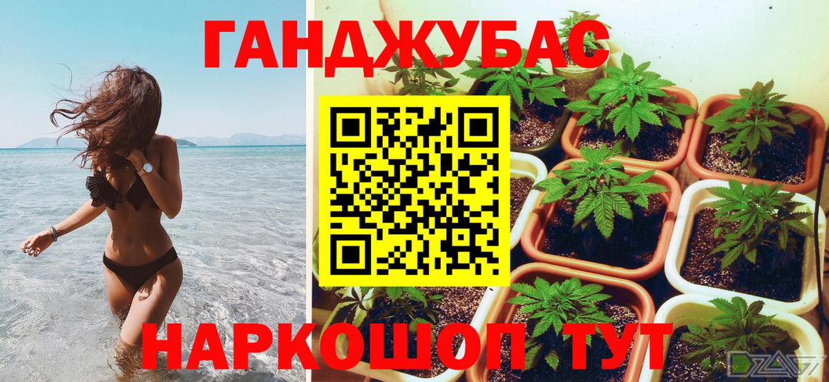 Конопля сатива  Каннабис конопля  Вход с VPN  Бошки Шишки индика  Шишки марихуана OG Kush  Якутск 